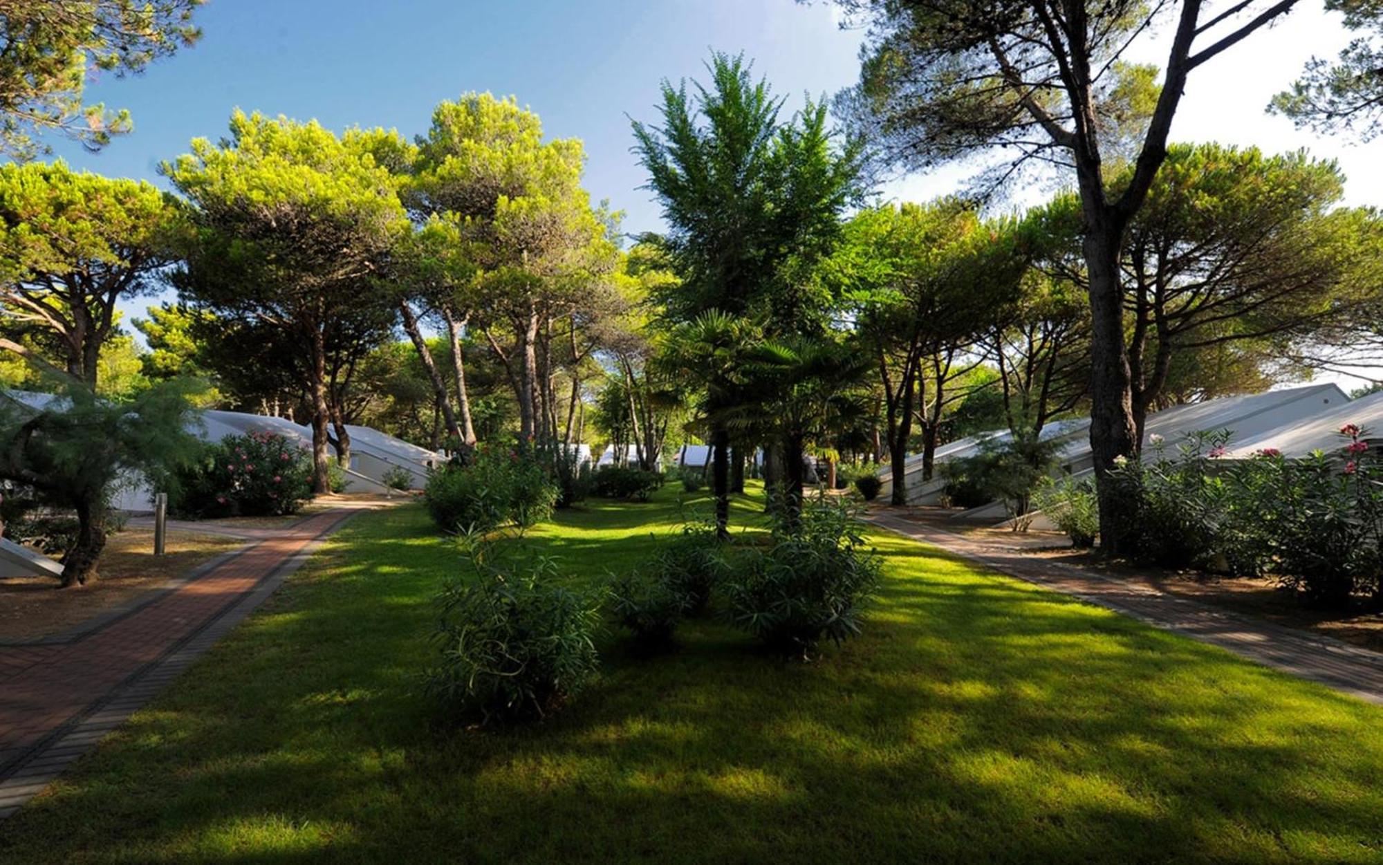 Dei Fiori Camping Village Кавалліно-Трепорті Номер фото